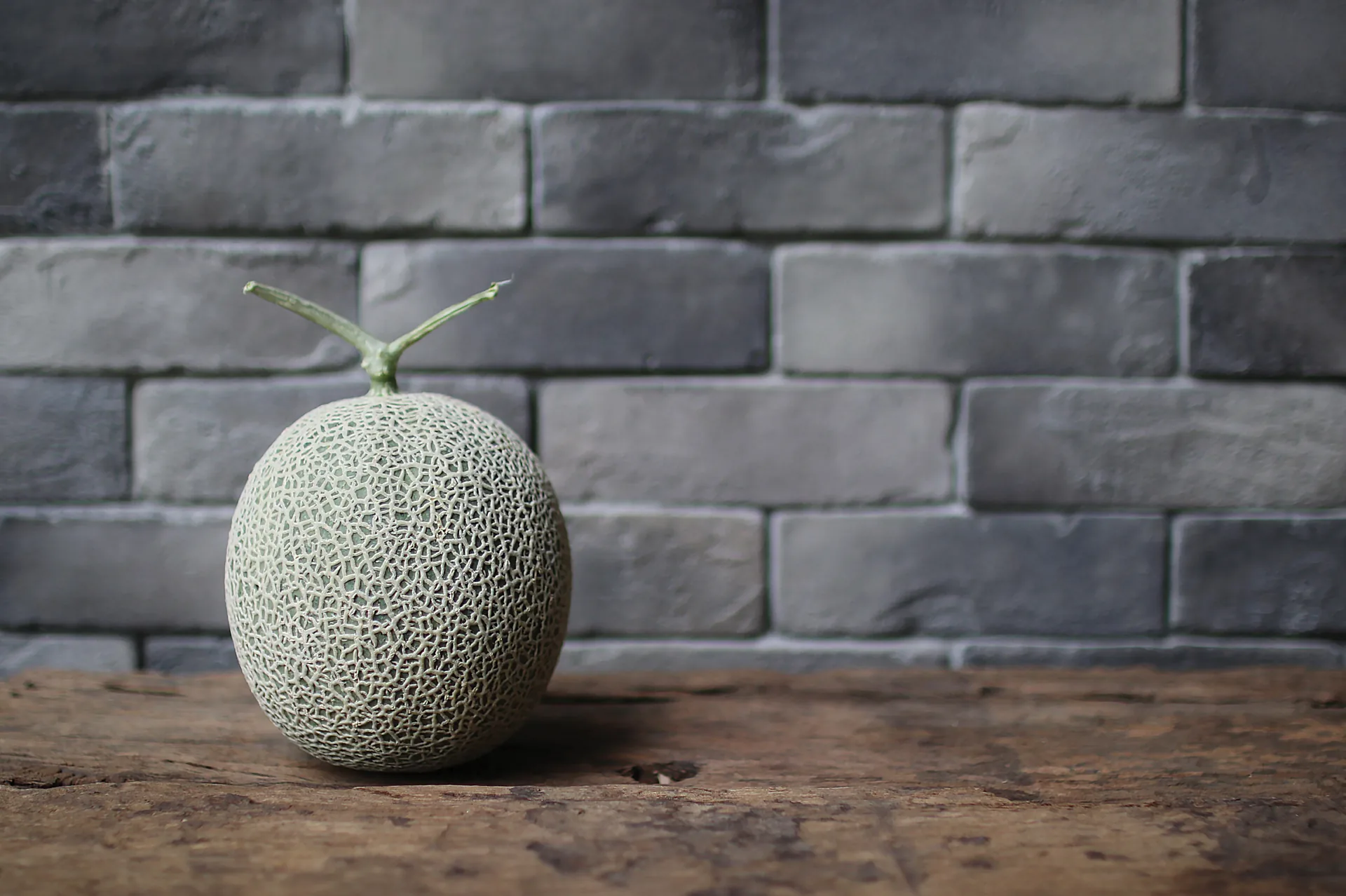 Zwei perfekt gereifte Yubari-Melonen mit charakteristischem T-förmigem Stiel auf dunklem Untergrund im edlen Studiolicht