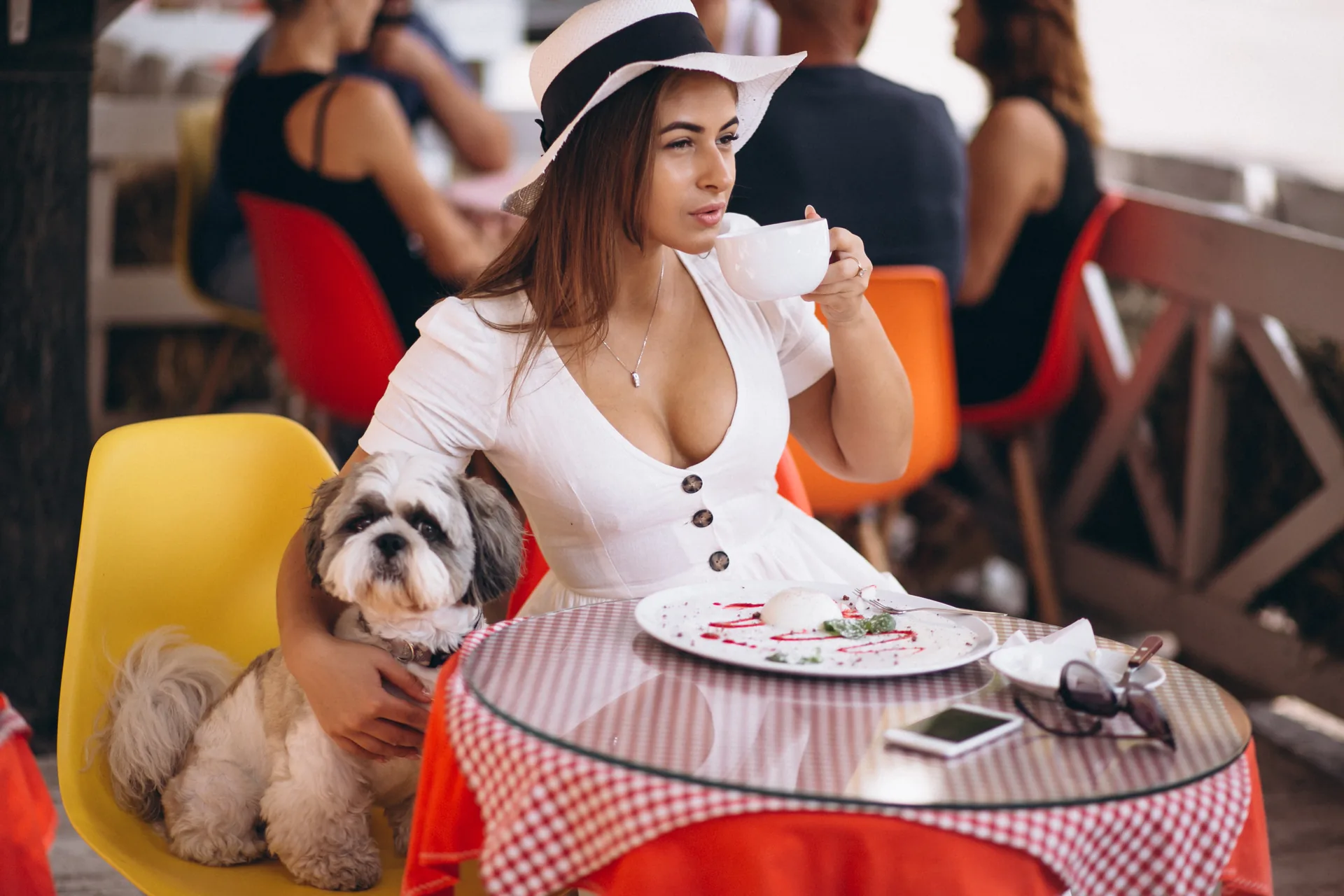 Gepflegter Hund entspannt unter einem Marmortisch auf einer eleganten Café-Terrasse im warmen Nachmittagslicht